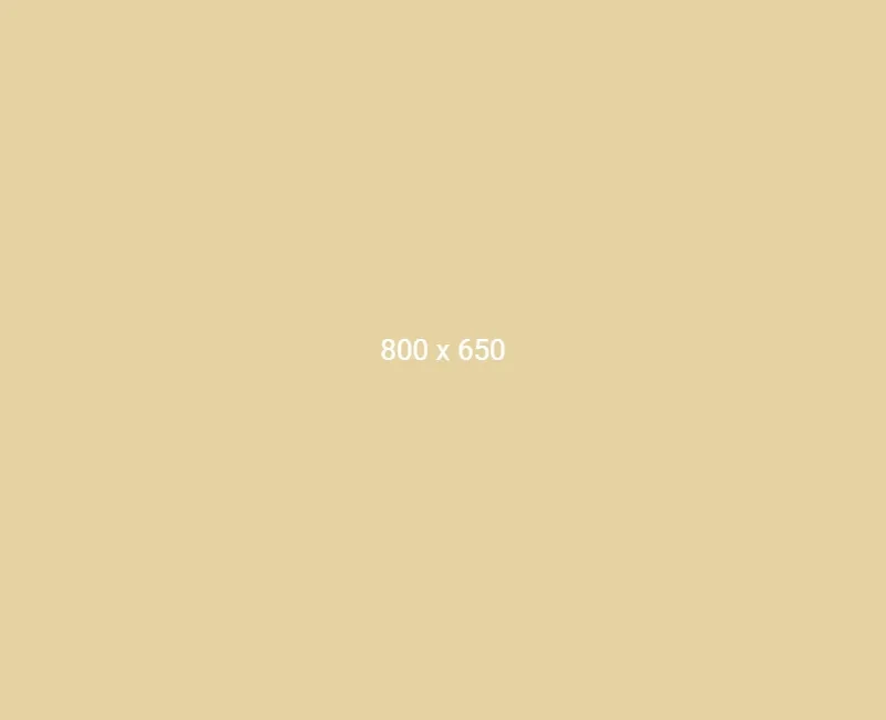 6a46280feff161782982671.webp