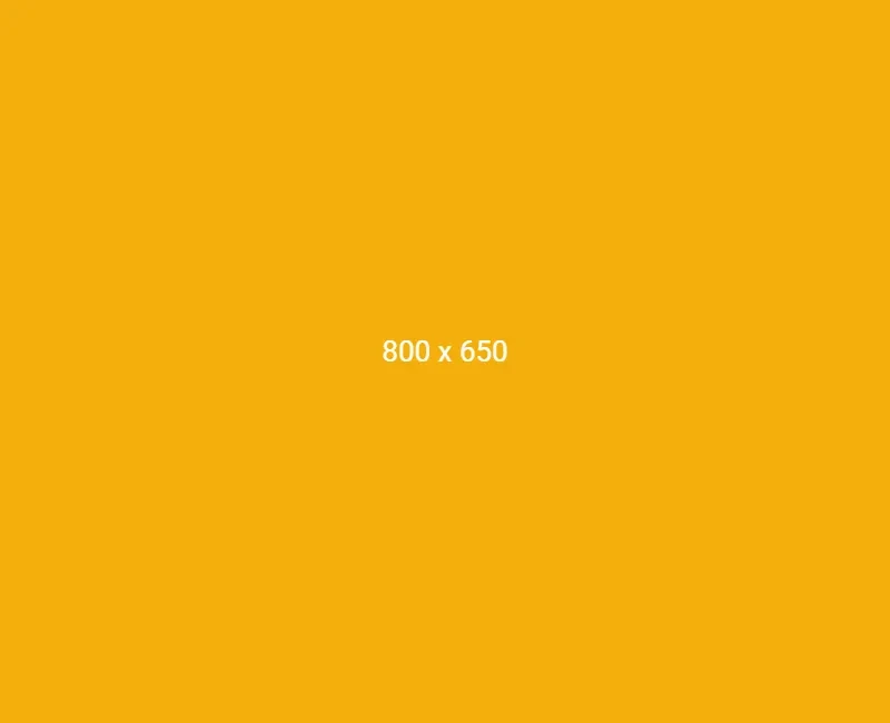 6a462810050e11782982672.webp